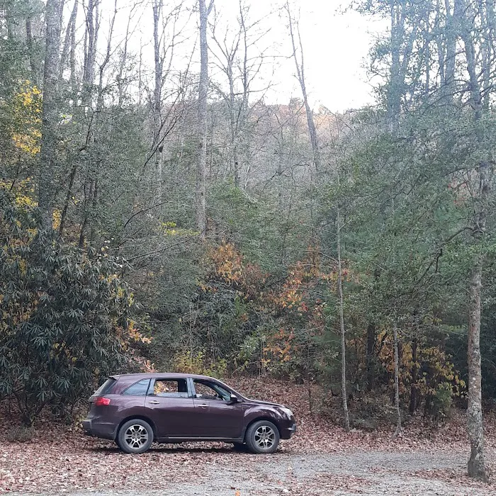 Holly Flats Campground Picture 7