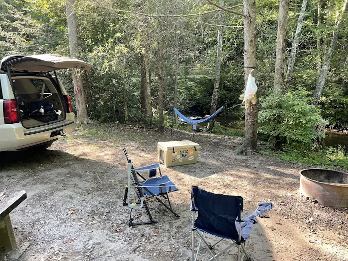 Holly Flats Campground Picture 8