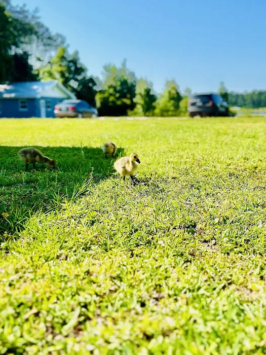 Silver Lake Oaks Mobile Home Community Picture 4