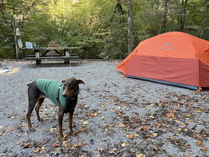 Holder Cove Campground Picture 5