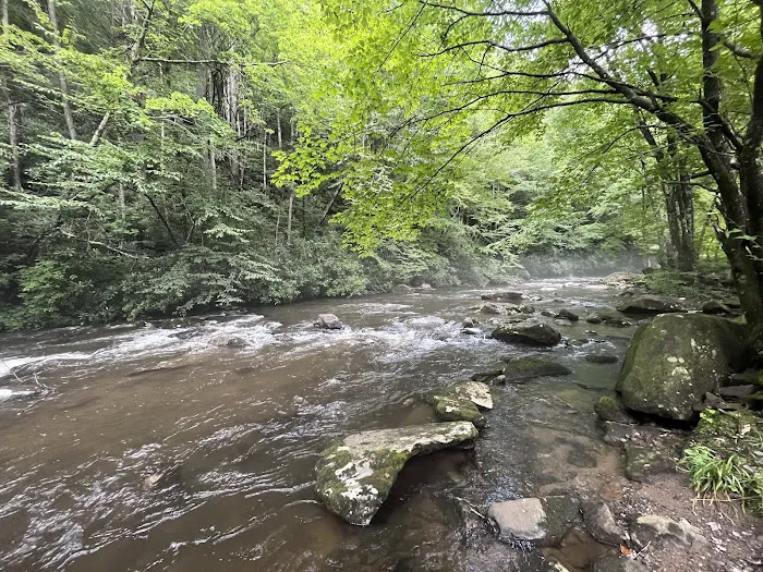 Holder Cove Campground Picture 2