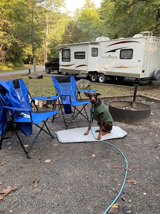 Holder Cove Campground Picture 7