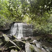 Holder Cove Campground ico