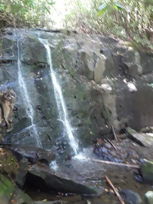 Holder Cove Campground Picture 8