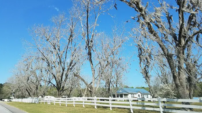Stoney Crest Plantation Campground Picture 6