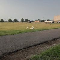 Coahoma County Expo Center RV Park ico