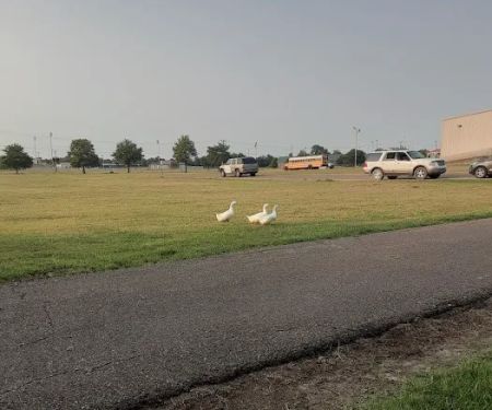 Coahoma County Expo Center RV Park