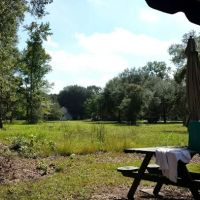 Hardeeville RV- Thomas Parks and Sites ico