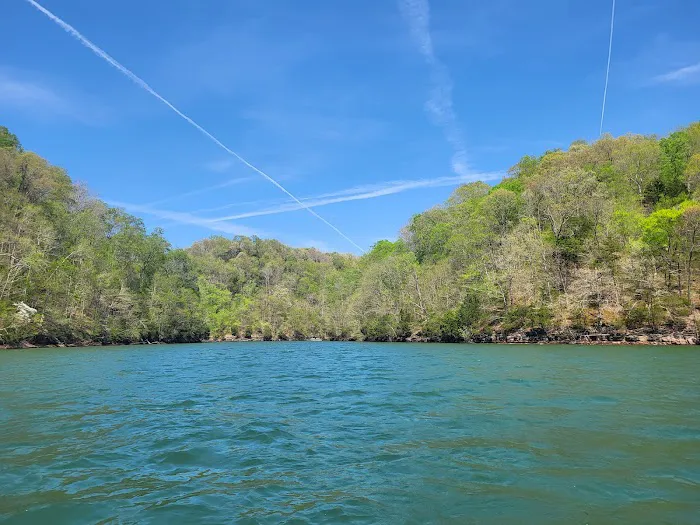Dale Hollow Dam Campground Picture 3