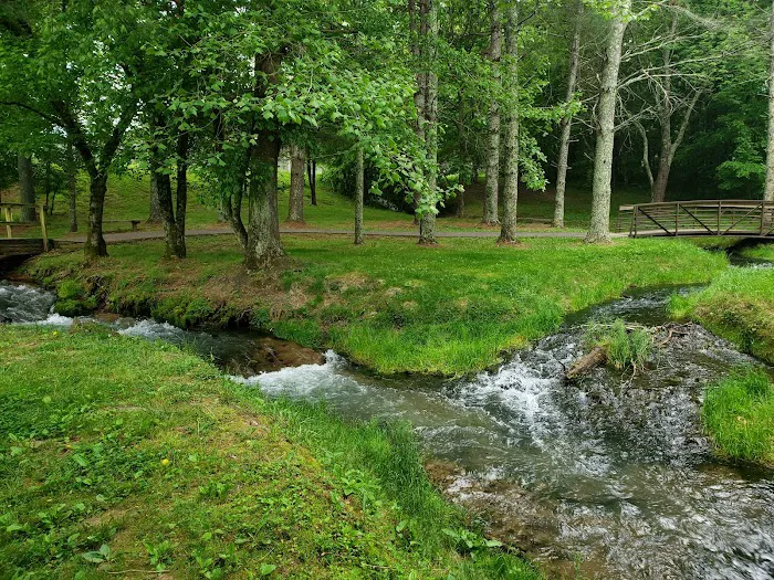 Dale Hollow Dam Campground Picture 9