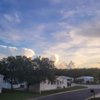 Wildwood Campground ico
