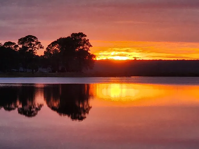 Salt Springs Resort Picture 1