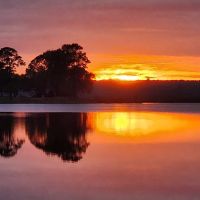 Salt Springs Resort ico
