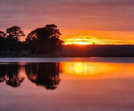 Salt Springs Resort