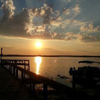 elite resorts at salt springs ico