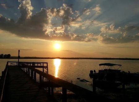 elite resorts at salt springs