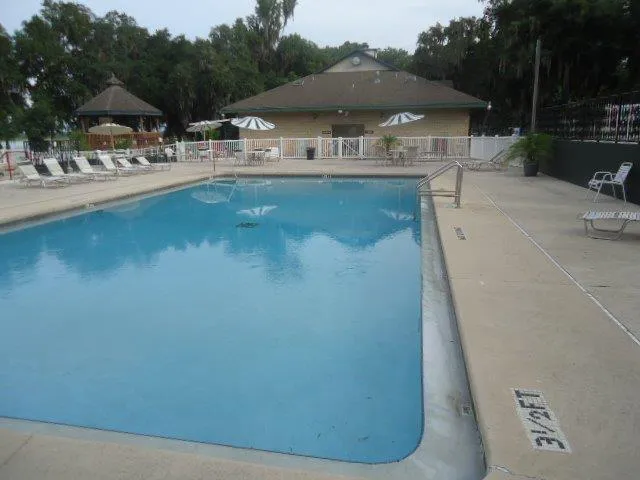elite resorts at salt springs Picture 3