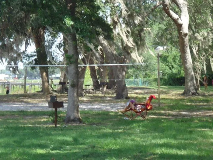 elite resorts at salt springs Picture 9
