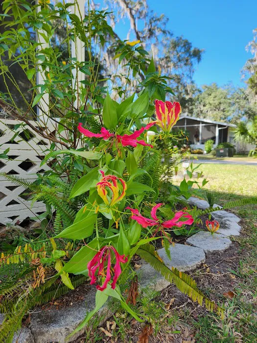 Salt Springs Village Picture 5