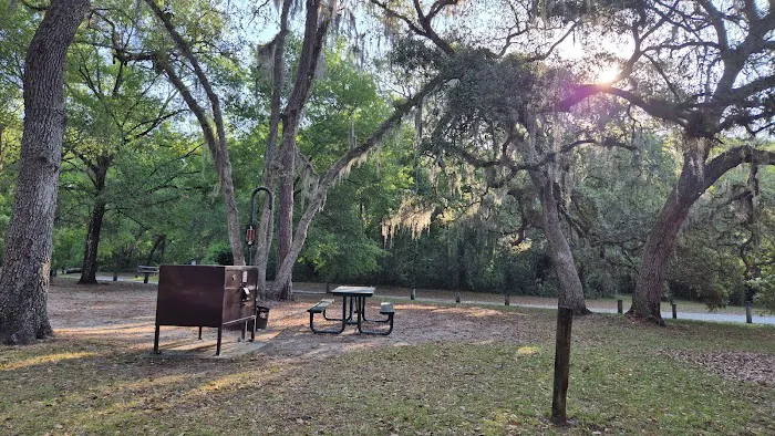 Salt Springs Village Picture 9