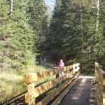 Pine River National Forest Campground