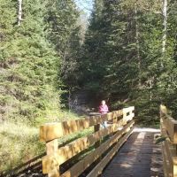 Pine River National Forest Campground ico