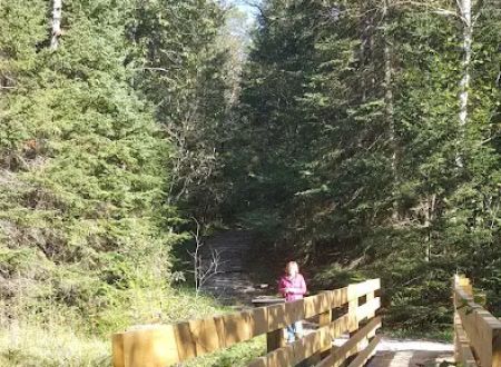 Pine River National Forest Campground