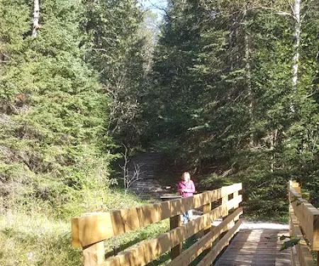 Pine River National Forest Campground