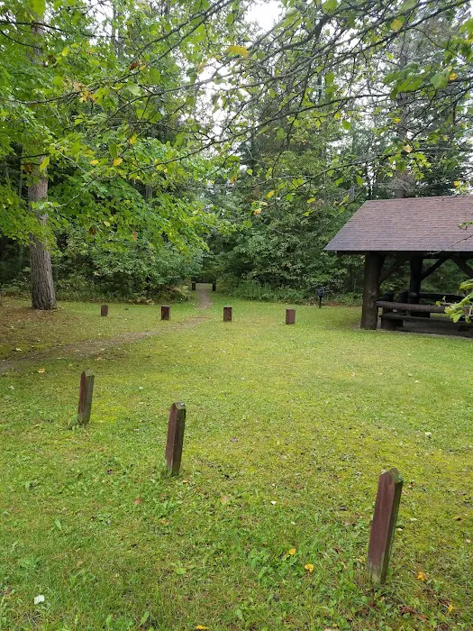 Pine River National Forest Campground Picture 7