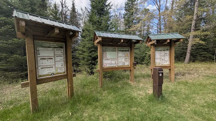 Pine River National Forest Campground Picture 3
