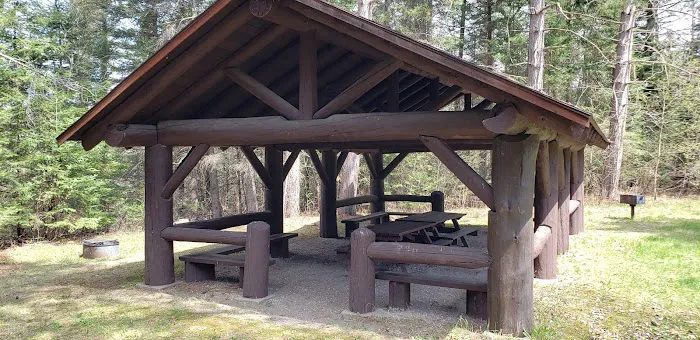 Pine River National Forest Campground Picture 2