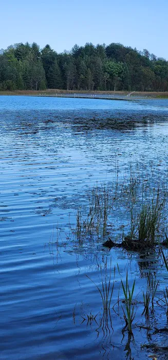 McCollum Lake State Forest Campground Picture 5