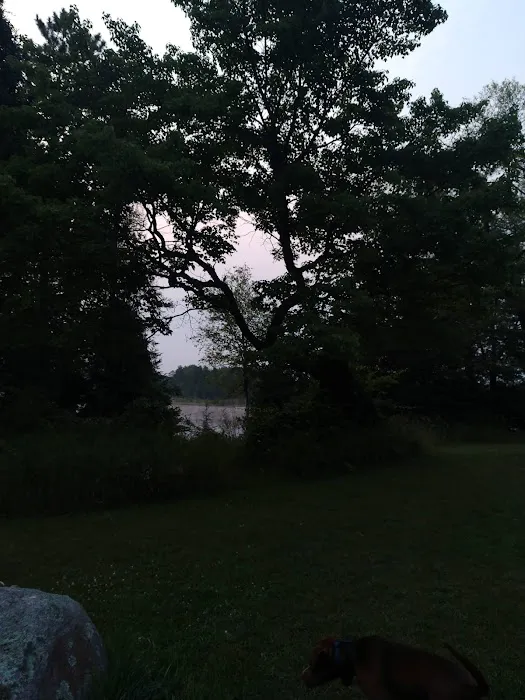 McCollum Lake State Forest Campground Picture 4