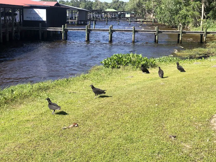 Renegades On The River Picture 1
