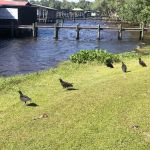Renegades On The River