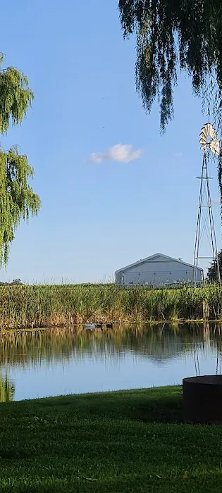 Farm View Resort Picture 10