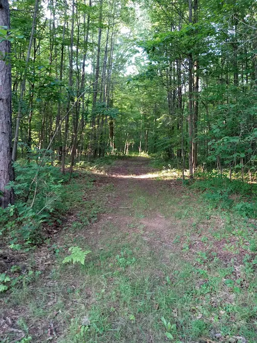 R and J Resort Campground Picture 10