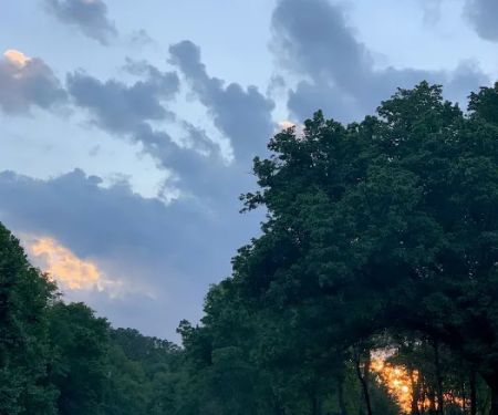 Piney Fork Adventures