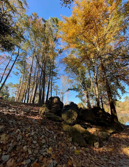 Rocky Bend Flint River Retreat Picture 8