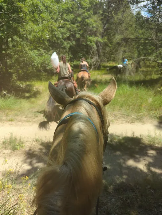 Marzinski Horse Trailhead & Campground Picture 1
