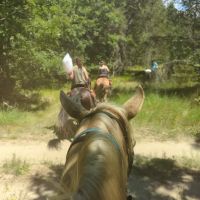 Marzinski Horse Trailhead & Campground ico