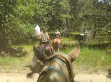 Marzinski Horse Trailhead & Campground