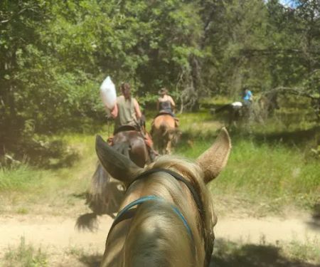 Marzinski Horse Trailhead & Campground