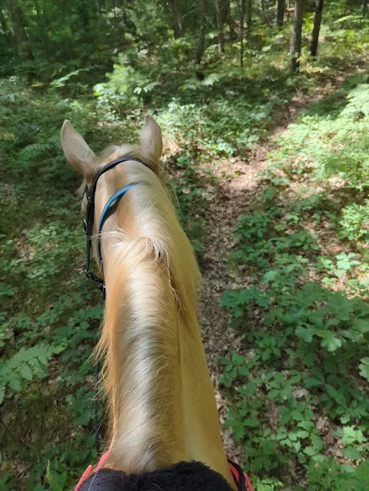Marzinski Horse Trailhead & Campground Picture 6