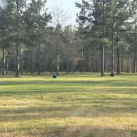 Stock Law Gap Campground ico