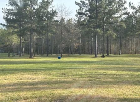 Stock Law Gap Campground