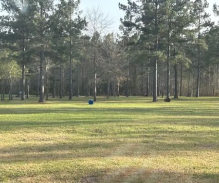 Stock Law Gap Campground