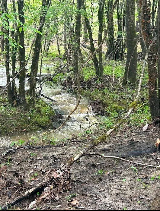 Stock Law Gap Campground Picture 8