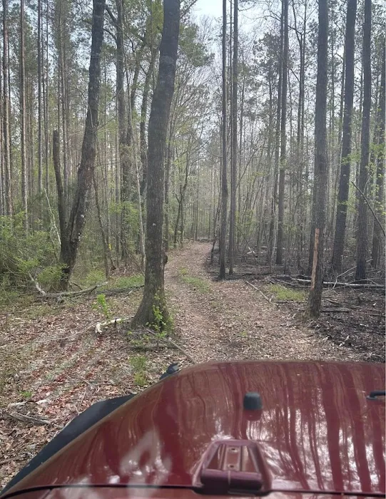 Stock Law Gap Campground Picture 9