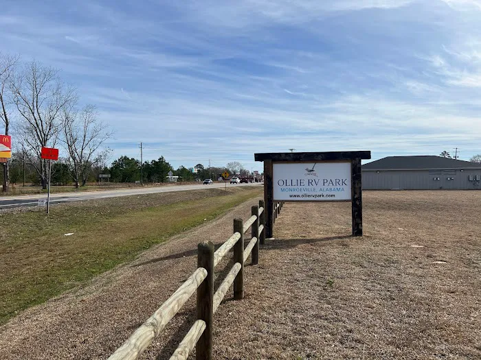 OLLIE RV PARK Picture 8